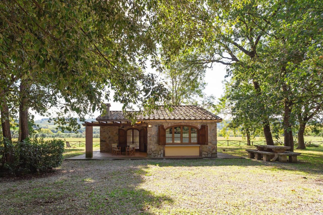 Cottage Il Gabbro Montescudaio Ngoại thất bức ảnh