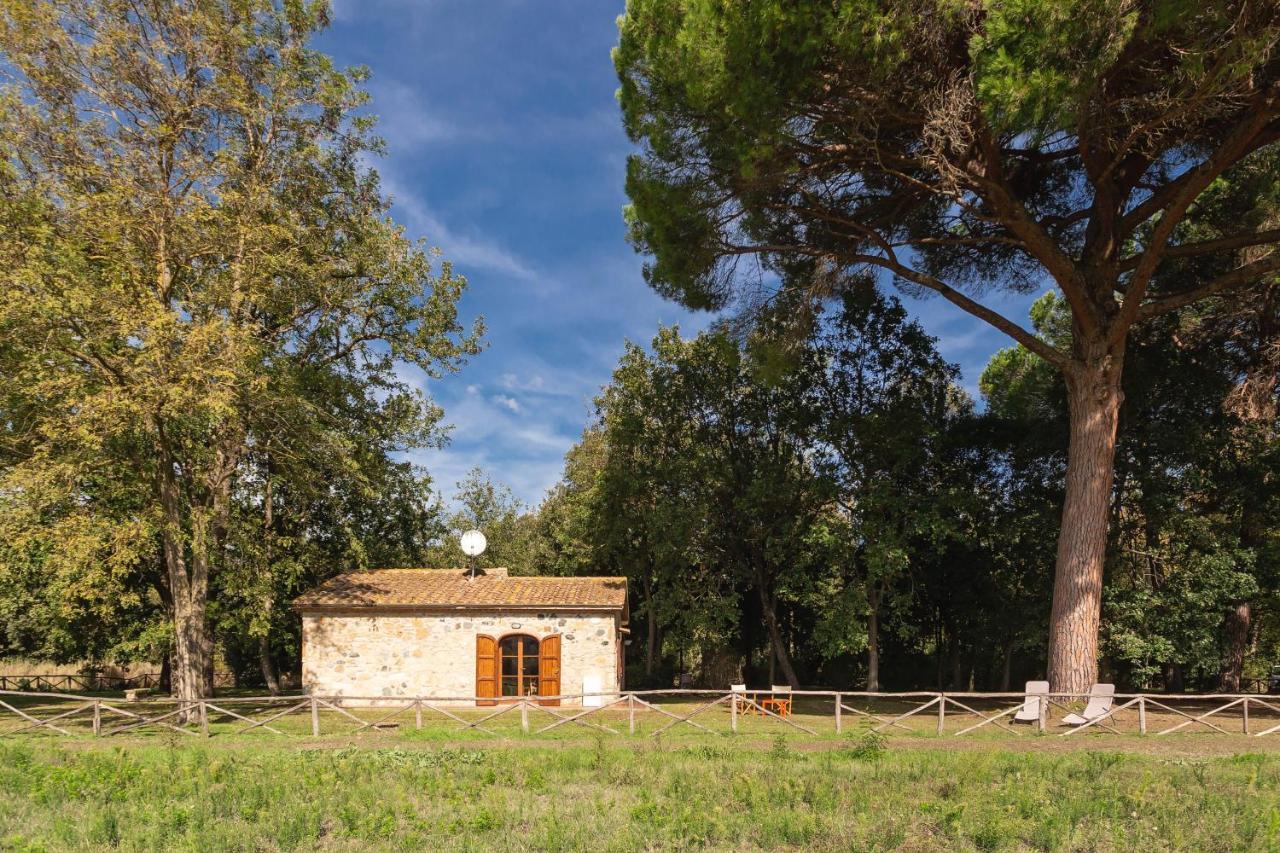 Cottage Il Gabbro Montescudaio Ngoại thất bức ảnh