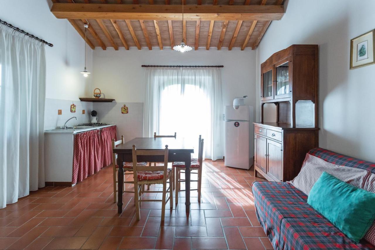 Cottage Il Gabbro Montescudaio Ngoại thất bức ảnh