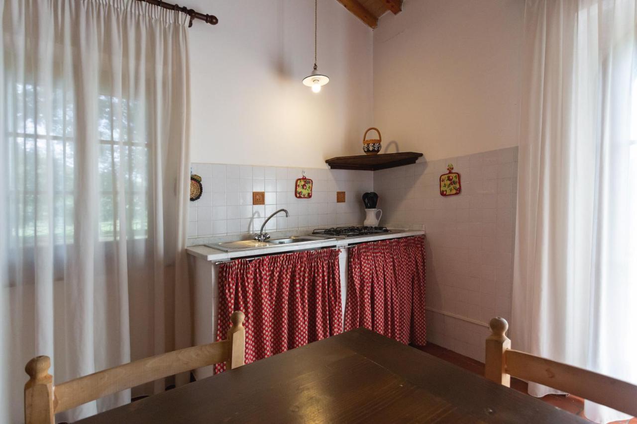 Cottage Il Gabbro Montescudaio Ngoại thất bức ảnh