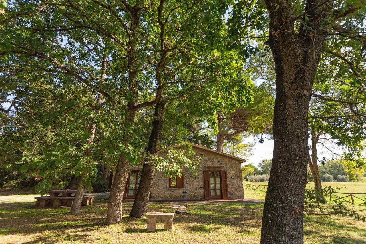 Cottage Il Gabbro Montescudaio Ngoại thất bức ảnh